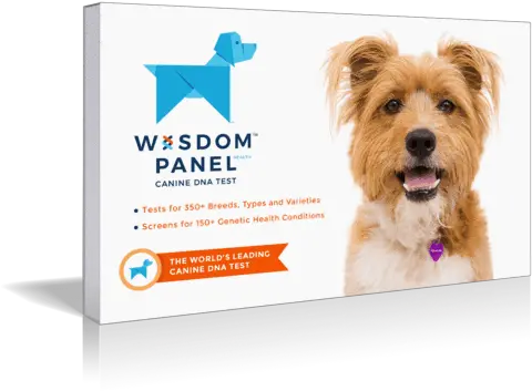 Wisdom Panel Health Dog Dna Test Kit Png Dog Transparent