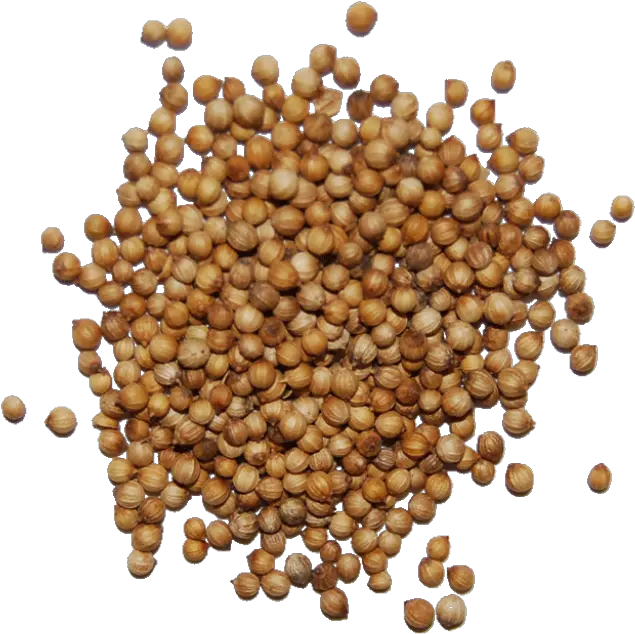 Download Seed Png Coriander Seeds Transparent Png Seed Png