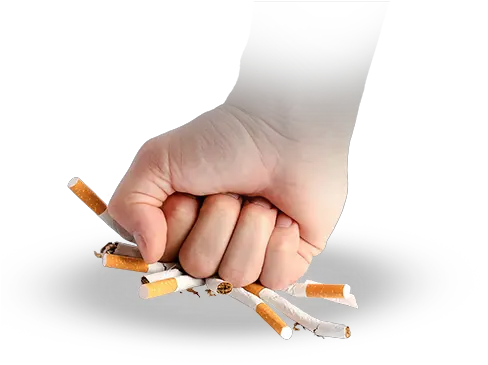World No Tobacco Day Sweetch World Smoking Day Png Tobacco Png