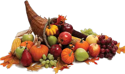 Turkey Cartoon Transparent Png Thanksgiving Cornucopia Turkey Clipart Transparent Background