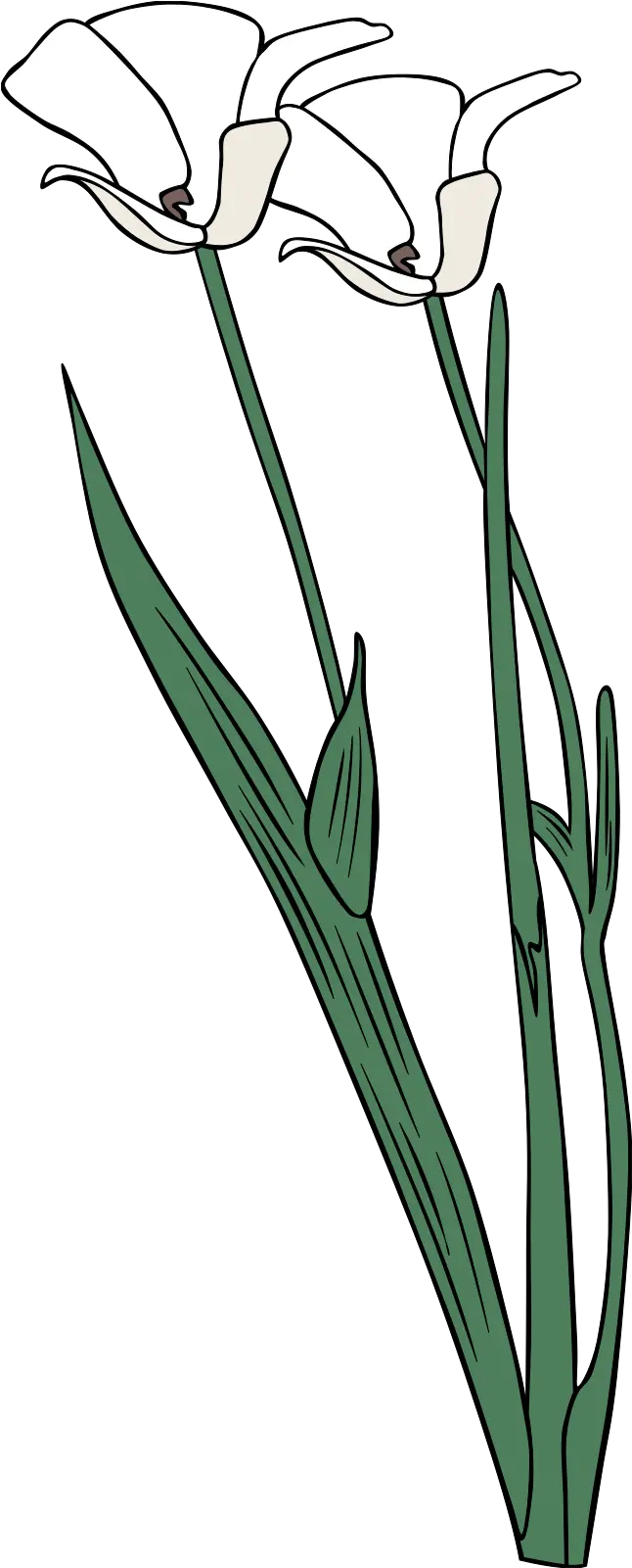 Plant Shrub Flowers Outline Svg Vector Flower Outline Png Shrub Png