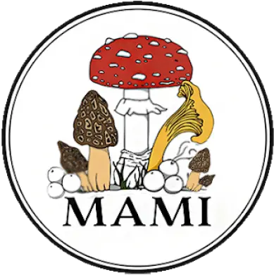 Midwest American Mycological Information U2013 Wild Foraged Wild Mushroom Png Mushroom Transparent