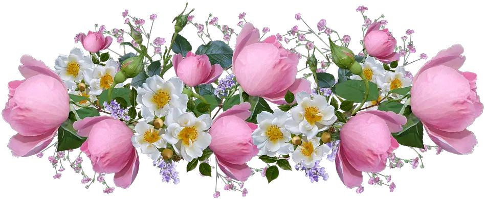 Flowers Roses Pink Bonito Imagenes De Buenas Noches Tiernas Png Rosas Png