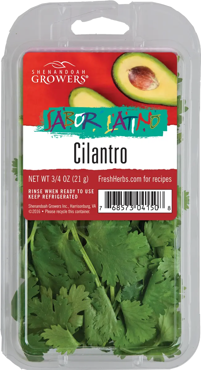 Cilantro Herb Png Cilantro Png