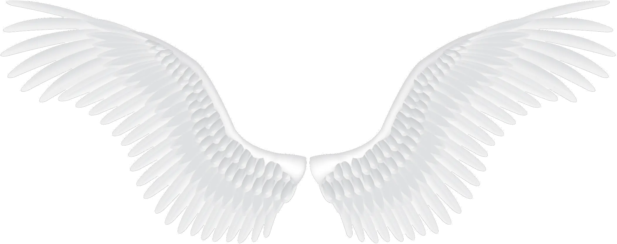 Download White Wings Png Image For Free White Angel Wings Png Wing Png