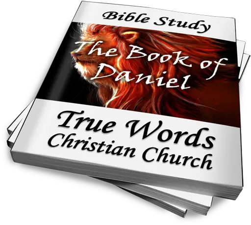 The Book Of Daniel Bible Study Horizontal Png Bible Study Png