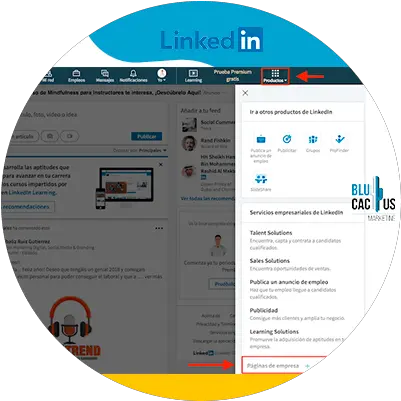 Linkedin For Business 7 Easy Steps To Quickly Become Successful Screenshot Png Linked Logo