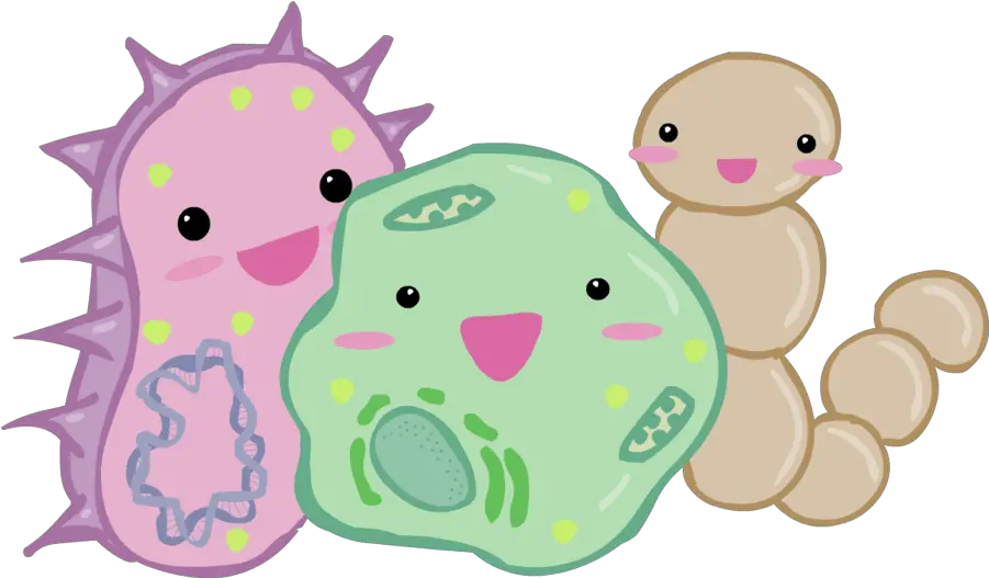 Bacteria Gut Happy Good Probiotic Cute Bacteria Transparent Background Png Bacteria Transparent Background