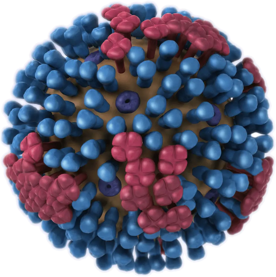 Virus Polio Transparent Png Clipart H1n1 Influenza Virus Virus Transparent