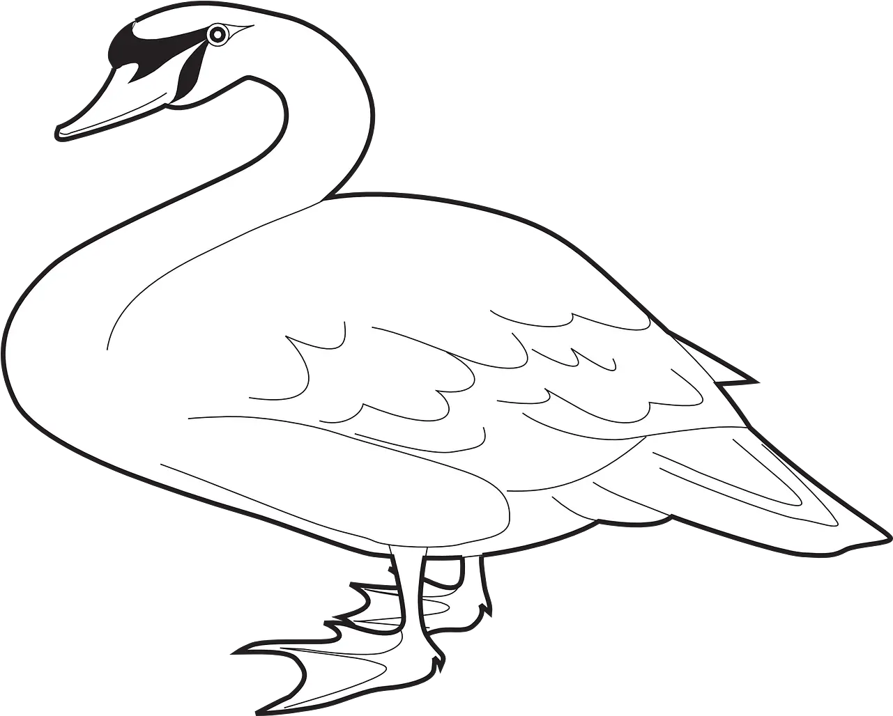 Goose Clipart Black And White White Long Neck Goose Swan Png Goose Transparent