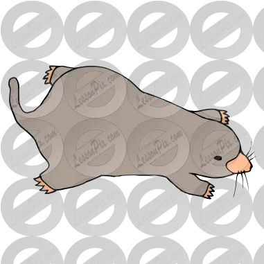 Mole Picture For Classroom Therapy Use Great Mole Clipart Cartoon Png Mole Png