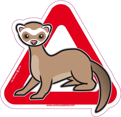 Ferret Transparent PNG