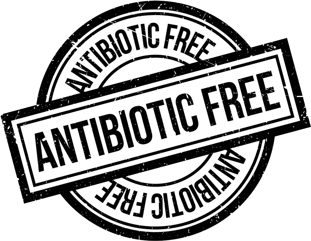 Antibiotic Freerubberstampvector12431420 Pipestone Atelje 212 Png Approved Stamp Icon