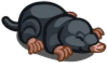 Mole Animal Farmville Wiki Fandom Soft Png Mole Icon