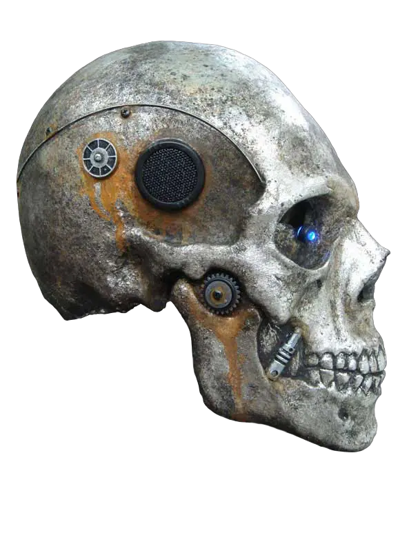 Download Skeleton Head Png Photo Face Kankal Png Skeleton Head Png