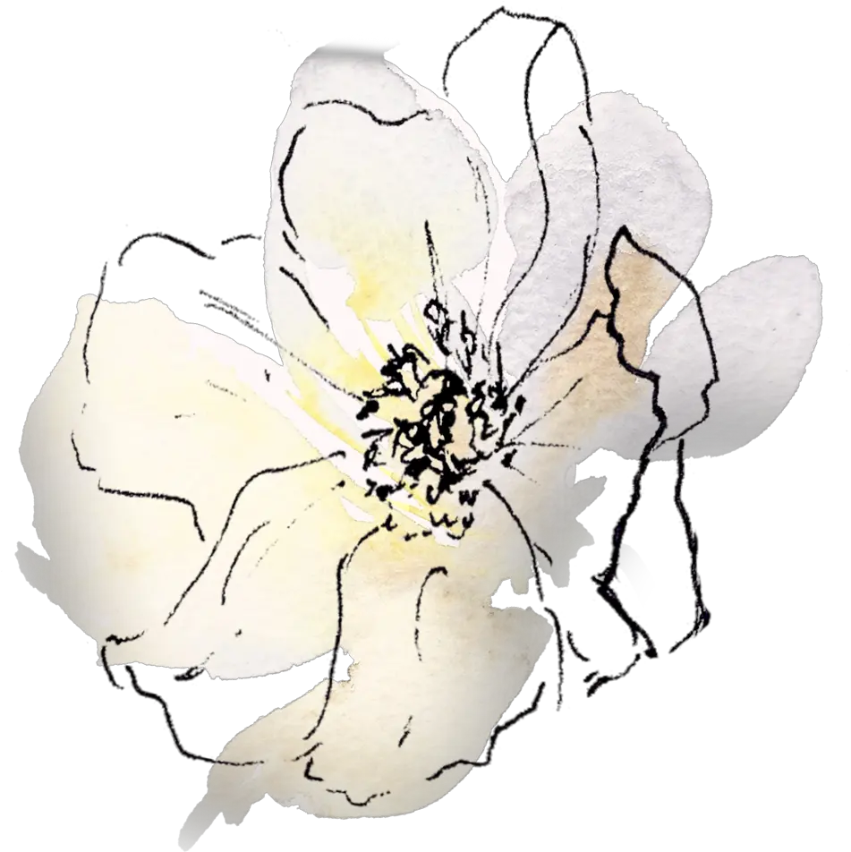 Sow A Seed U2014 Behind The Confident Smile Still Life Photography Png Seed Of Life Png