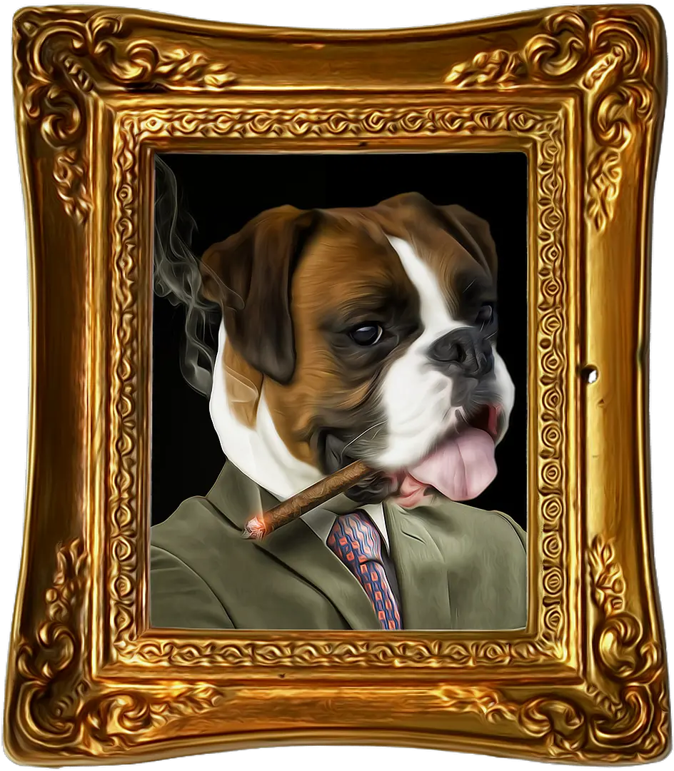 Funny Dog Png Bulldog Portrait Funny Cute Dog Png Image Bulldog Boxer Png