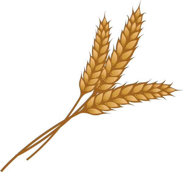 Grain Png Image Transparent Clipart Wheat Grain Png