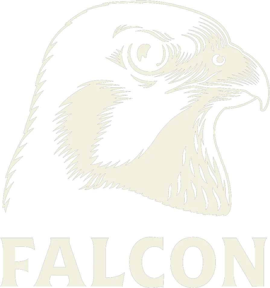 Download Hd 1 Falcon Logo Hawk Transparent Png Image Falcon Öl Logo Hawk Png