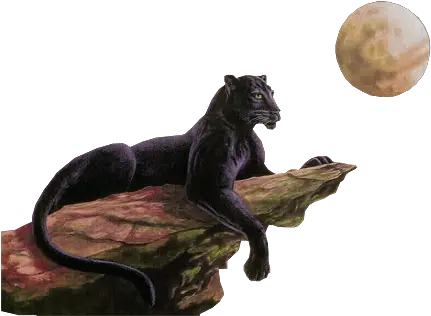 Clip Art Graphics Panther Moon Png Panther Png