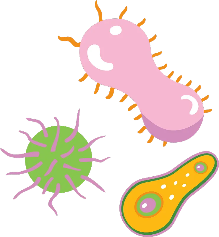 Bacteria Clipart Free Download Transparent Png Creazilla Bacteria Clipart Transparent Bacteria Icon Png