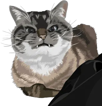 Cartoonize Your Cat Domestic Cat Png Angry Cat Png