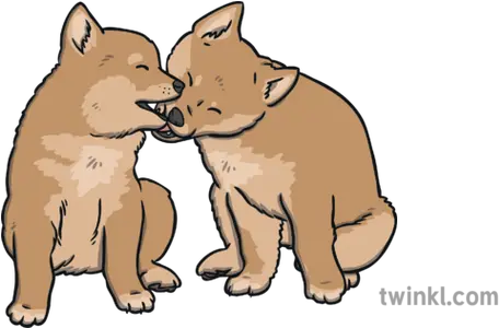 Dingo Puppies Illustration Twinkl Animal Figure Png Puppies Png