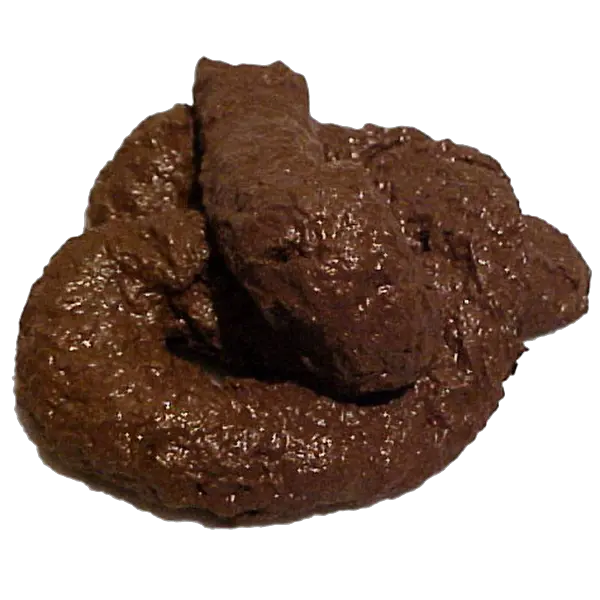 Download Dog Shit Png Piece Of Dog Poop Shit Png