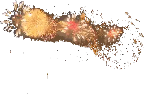 Animated Gif For Avid And Pinnacle Studio Transparent Gun Shot Gif Png Explosion Gif Transparent Background