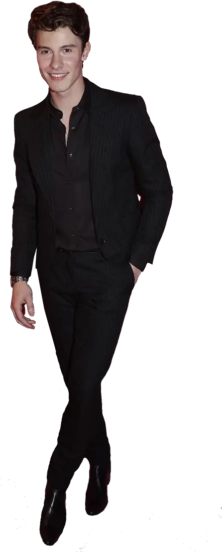 Shawn Mendes Standing Hd Png Download Shawn Mendes Suit Png Shawn Mendes Png