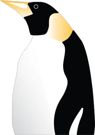 Home Penguin Shipping King Penguin Png Penguin Png