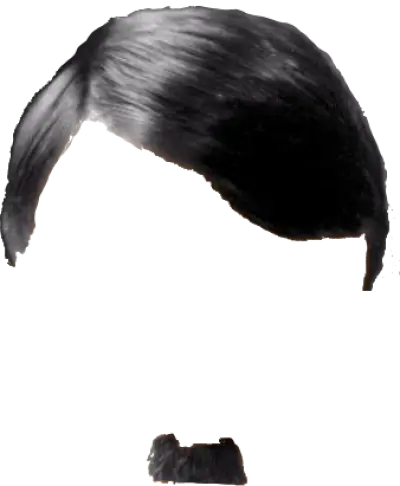 Hitler Moustache Png Picture Hitler Mustache Png Hitler Mustache Transparent