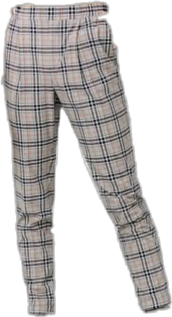 Clothes Pants Aesthetic Plaid Niche Moodboard Aesthetic Clothes Png Transparent Pants Png