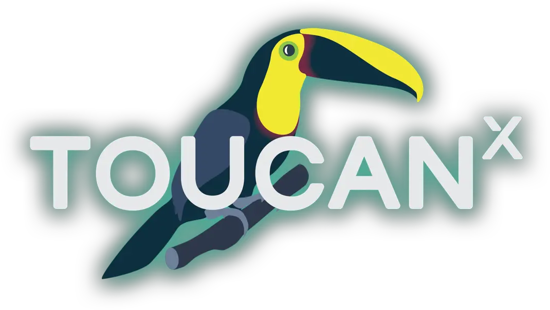 Download Toucan Png Image With No Background Pngkeycom Toucan Toucan Png