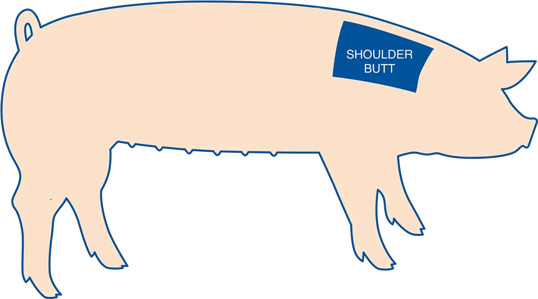 Download Pig Butt Png Domestic Pig Butt Png