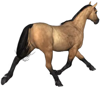 Search Results For Horses Png Horse Rear View Horses Png