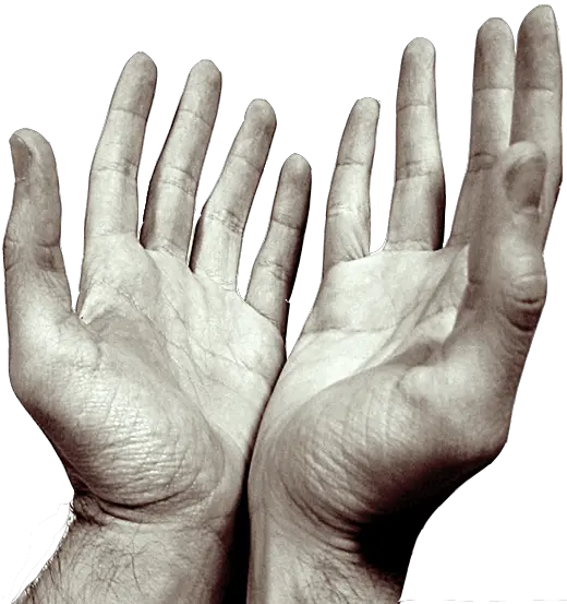 Hands Transparent Png Images Sorry For Being A Disappointment Prayer Hands Png