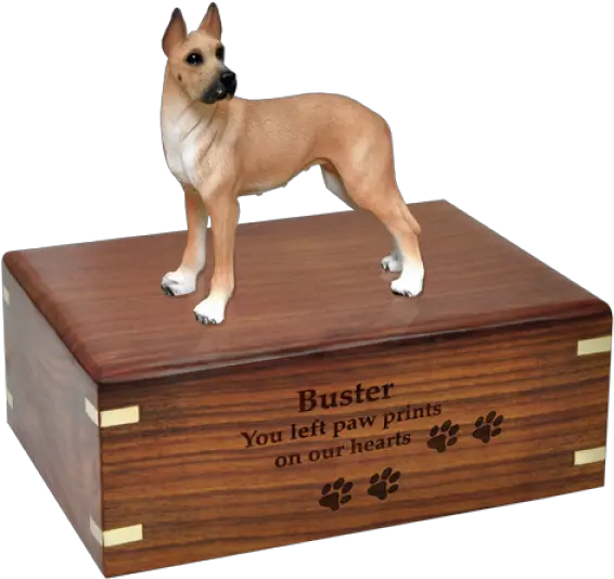 Great Dane Fawn Wood Urn For Pet Dog W Australian Shepherd Png Great Dane Png