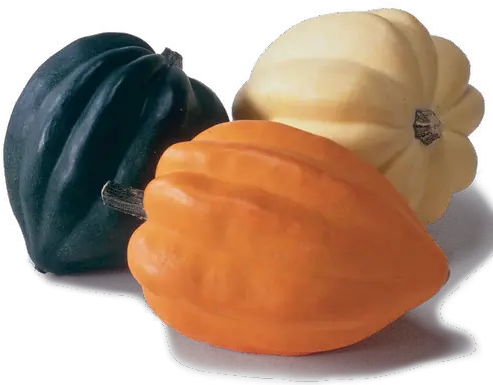 Imgur The Magic Of Internet Fall Squash Png Acorn Transparent Background