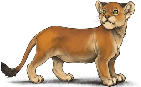 Charmed Dwarf Lioness Lioden Png Image Lioden Dwarf Lion Lioness Png