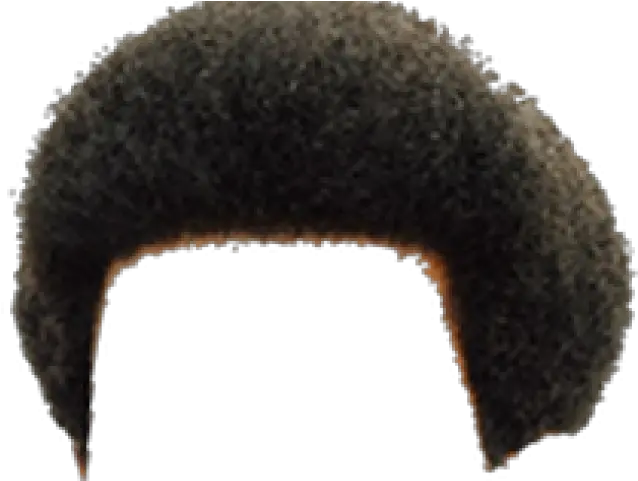 Hair Afro Png Afro Hair Png Afro Png