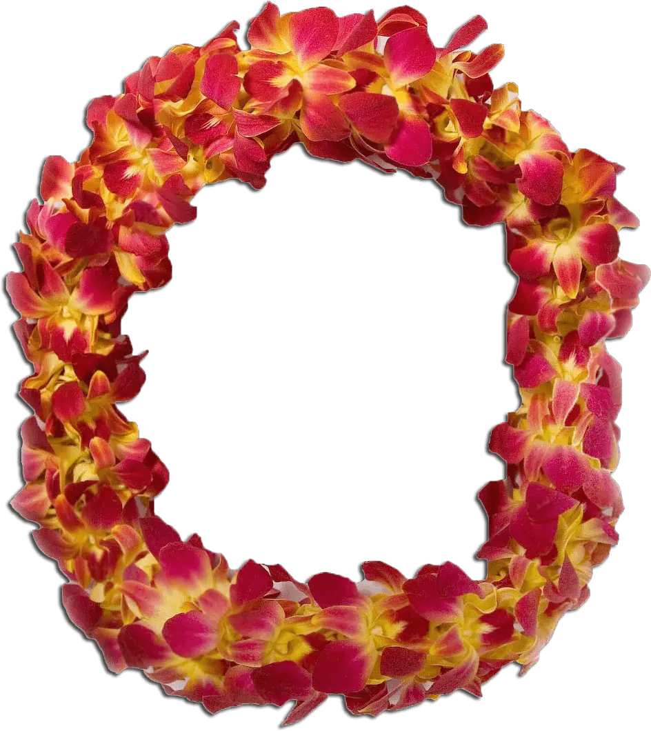 Double Orchid Maroon Lei Decorative Png Lei Png