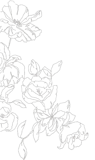 Living Fresh Flower Studio Florist Kitchener Waterloo Sketch Png Floral Design Png