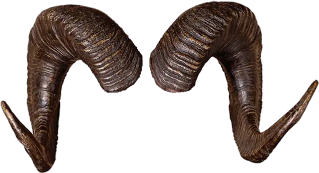 Ram Horns Png 3 Image Tiefling Horns Png Horns Png