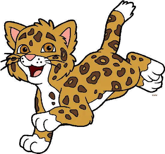 Baby Jaguar Png Clipart Jaguar Diego Go Jaguar Png
