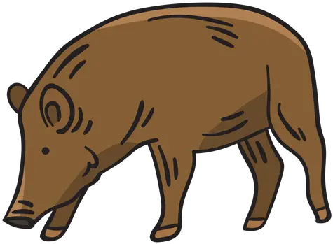 Pig Native Breed Sweden Illustration Punxsutawney Phil Png Pig Transparent