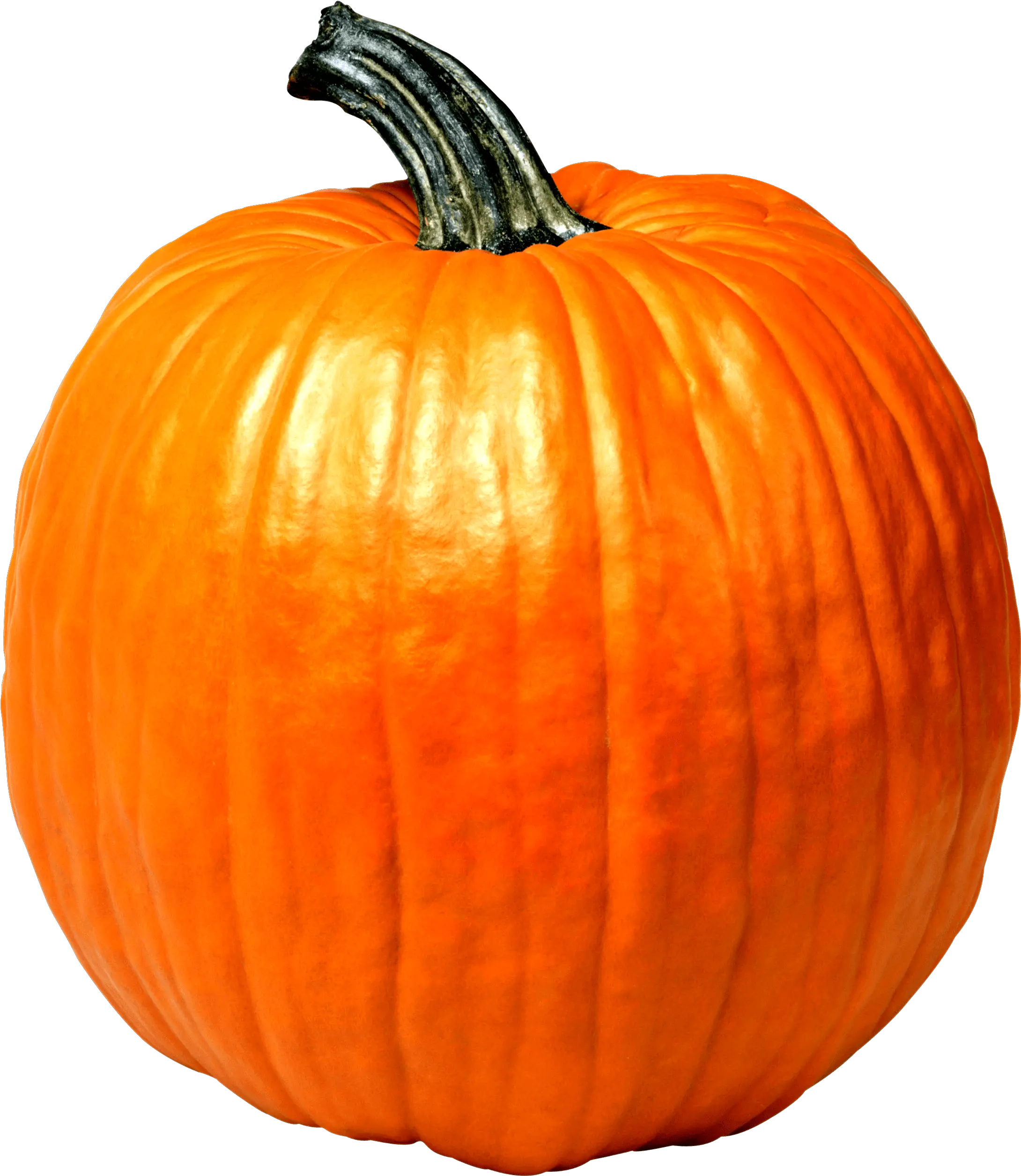 Wheres Waldo Pumpkin Edition Png Cute Meme Clipart Single Picture Of Vegetables Waldo Png