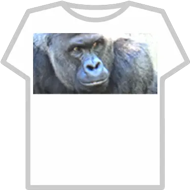 Harambe Goku Ssj4 T Shirt Roblox Png Harambe Transparent