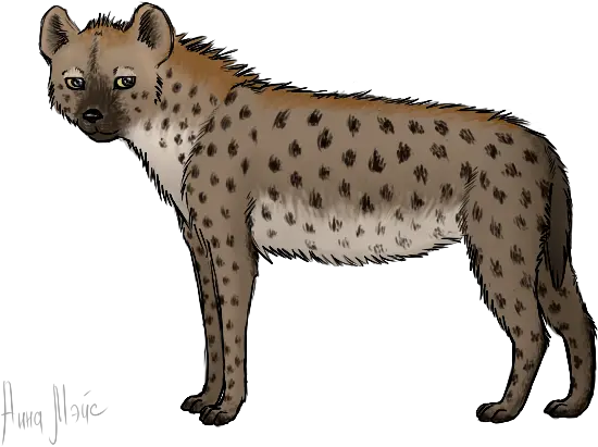 Hyena Png Alpha Channel Clipart Images Hiena Animada Png Hyena Png