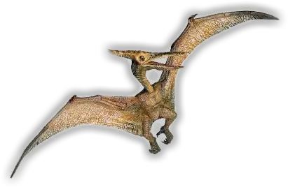 Picture Pterodactyl Transparent Png Pterodactyl Png